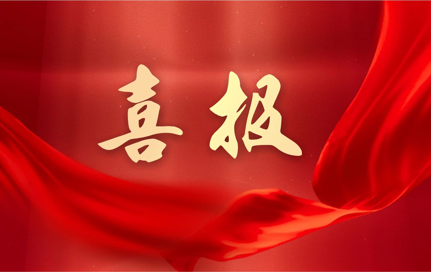 营收净利双增长！乐橙国际lc8电子2025年一季度经营业绩续写高质量发展华章